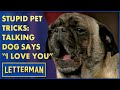 Stupid Pet Tricks The Talking Dog Says I Love You Letterman
