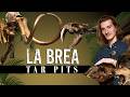 Inside The Worlds Most Unusual Fossil Site The La Brea Tar Pits Feat Lindsay Nikole