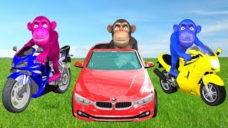 Funny Monkeys On Power Wheels Unboxing Surprise Toys - Wild Animals Animation Cartoon For Kids