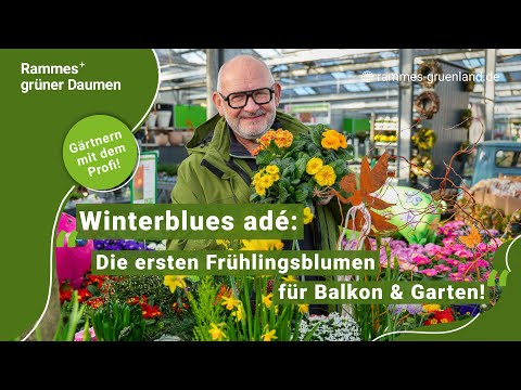 Winterblues adé - Die ersten Frühlingsblumen für Balkon & Garten!