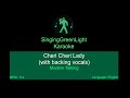 Karaoke | Modern Talking - Cheri Cheri Lady (with backing vocals) | SingingGreenLight