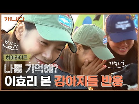 [1회 하이라이트] | 효리를 알아볼까?🥹 재회의 순간, 강아지들의 반응은?🐕 | 캐나다 체크인 예고편