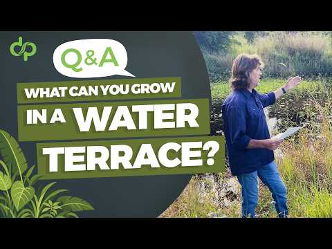 Exploring Crop Options for Water Terraces and Paddies