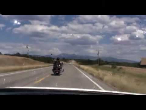 Florida Wild Hogs Adventures P XII