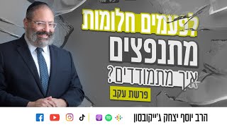 פרשת עקב • הסוד שטמון בקשיים שאנחנו עוברים