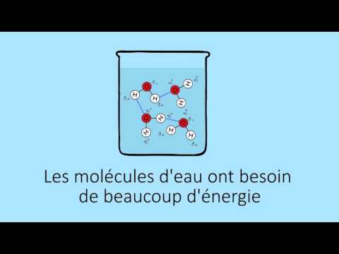 The Properties of Water | FuseSchool + Unisciel