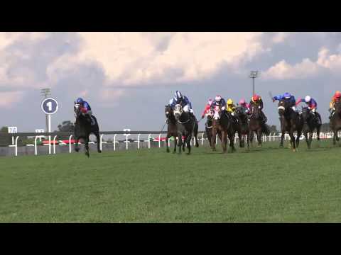 THE CHAMPIONS CUP LOW VIEW   Broadband