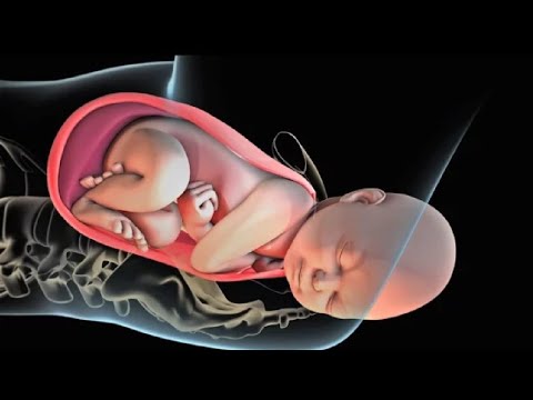 , title : 'Labor and Delivery | Childbirth | Patient Education Animation: Labor and Vaginal Birth'