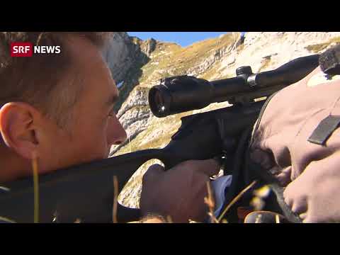 Eine seltene Trophäe