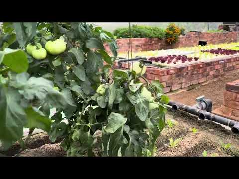 Sandponics system South Africa: update March 2025