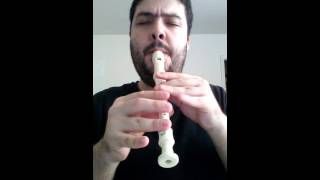 Dream Theater - Dystopian Overture on the flute (na flauta doce)
