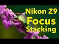 Z9 Focus Stacking