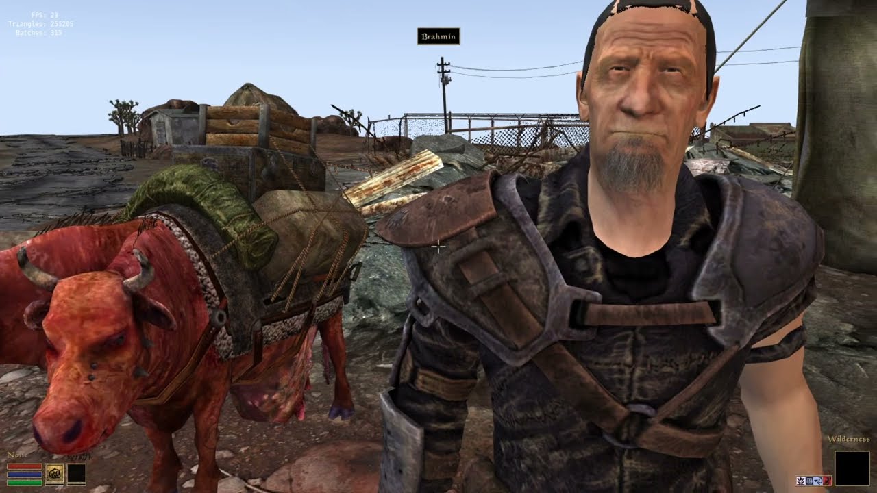 [WIP] FalloutNV Facial Hair and Facial Animations - YouTube