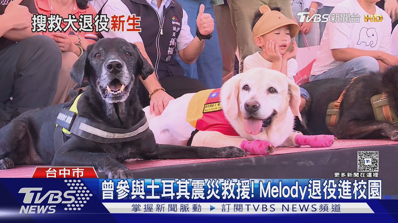 台中退役搜救犬回娘家!7英雄重聚「Melody退役進校園」意外展現療癒力