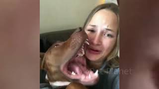 YOU may LAUGH TO DEATH - Funny compilation with animals