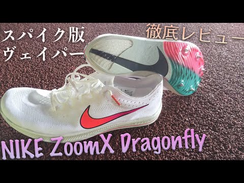 ブロモドラゴンフライについて詳しく解説