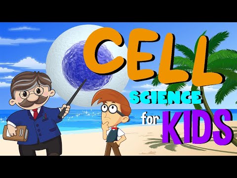 Cell Structure and Functions | Science for Kids