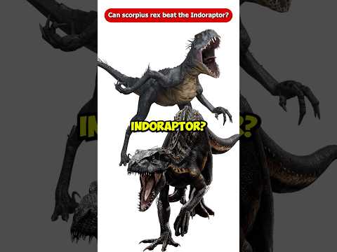 Cine Clips and CINE INSIDER