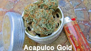 Acapulco Gold - Cannabis strain review