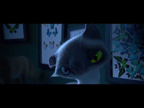 Beyond Border Feat  People Theatre -  Perfection