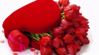 &#39;&#39;PROMETO&#39;&#39; Café Quijano