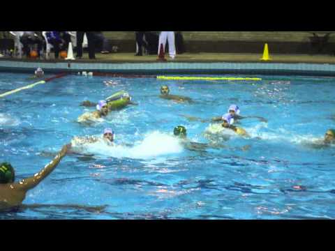Egypt Water polo: Gezira Vs Heliopolis 15 05 01