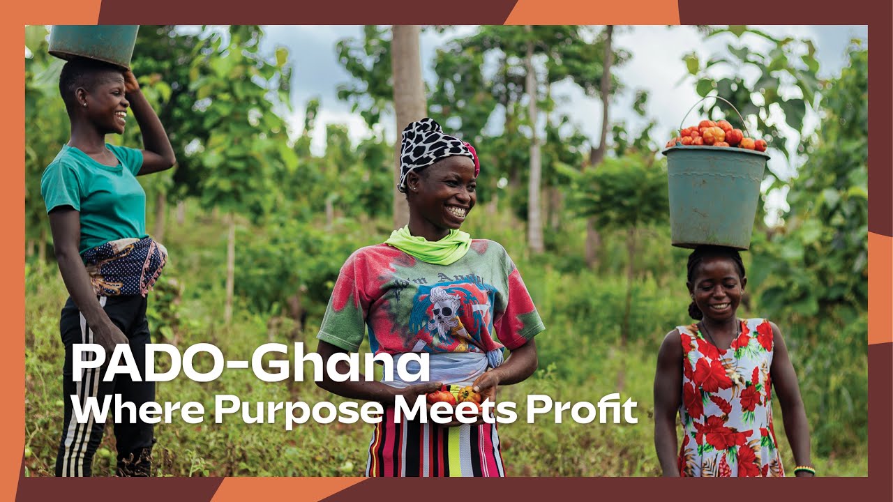 PADO Proves Healing the Land Can Grow Profits Too💵