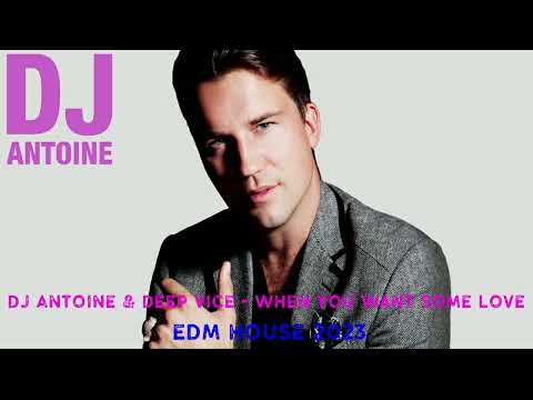 DJ Antoine & Deep Vice - When You Want Some Love
