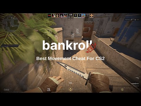 CS2  - The Bankroll.su Experience (Best movement cheat for CS2?)