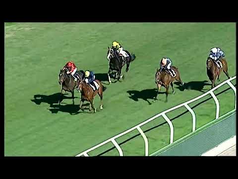 Napoli Galoppo 22/02/2022 - 1ª corsa