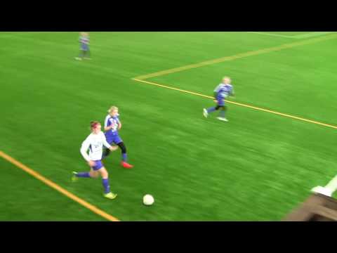 Semi-Vifk  helmari 27.11.2016