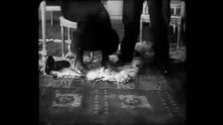 Amor Pedestre (Marcel Fabre, 1914)