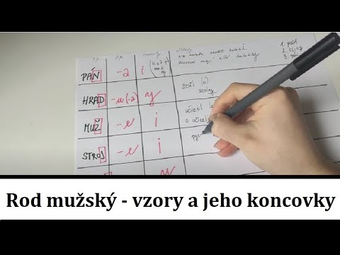 Rod mužský - vzory a jeho koncovky