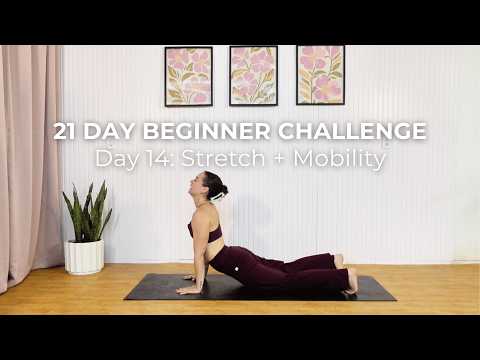 Day 14 | 15 min Stretch & Mobility Flow | Beginner Pilates Workout | Sculpted From Scratch