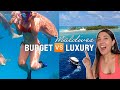 MALDIVES Under A Budget Or In Luxury Swimming With Sharks Room Tour Indian Food Etc I M Blown