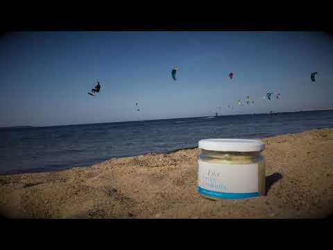 4dogs - 4calm - 4dogs.waw.pl u DingDoga