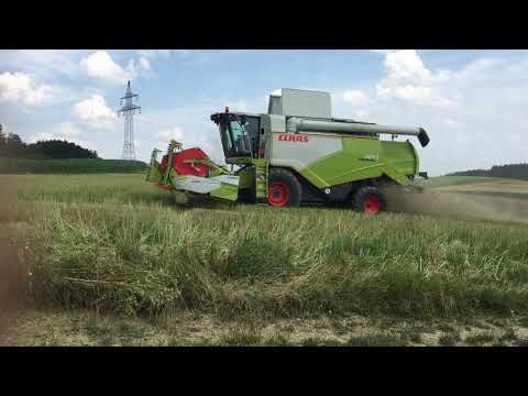 Raps Ernte 2019  #01