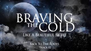 02. Back To The Roots - Braving The Cold