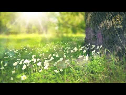 Dituria e bariut në gjashtë çeshtje