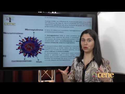 Correção Biologia prova UPF 2013-2 parte 1 de 2 Prof. Ayesa