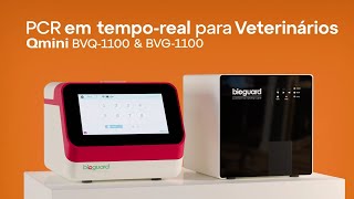 Introdução ao PCR em tempo real para veterinários