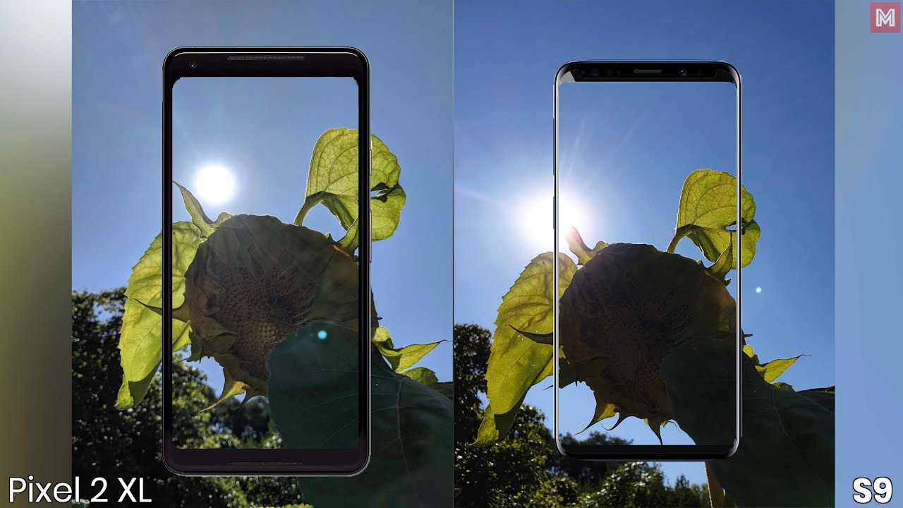 Google Pixel 2 XL vs. Samsung Galaxy S9 Camera Comparison [4K]