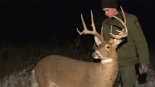 What does it take to catch a night hunter?