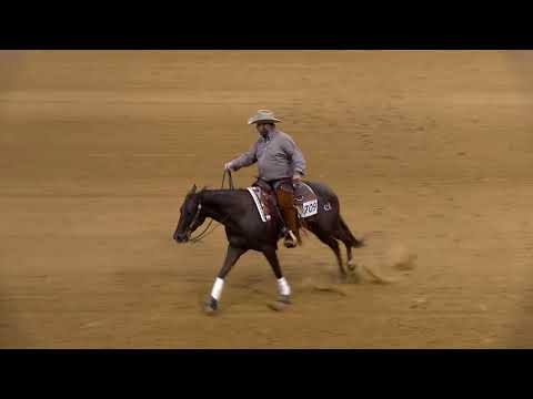 2020 Appaloosa Reining Horse Association Non Pro Reining Futurity