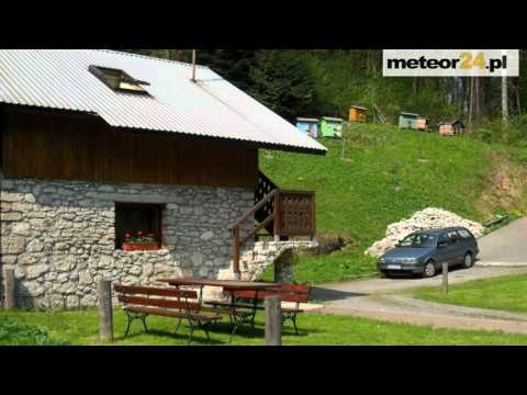 Dom w Kwiatach - Ojców meteor24.pl