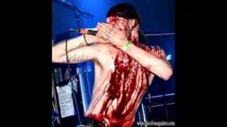 Vemodets Arkitektur - Shining