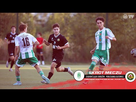 SKRÓT MECZU: STADION ŚLĄSKI - LGKS PODLESIANKA