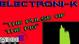 Electroni-K - The Pulse Of The Pig
