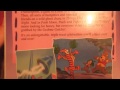 THE VHS REVIEW WINNIE THE POOH FRANKENPOOH