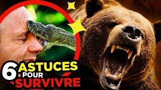 6 TIPS to SURVIVE WILD ANIMALS